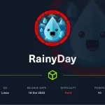 【hackthebox】RainyDay writeup
